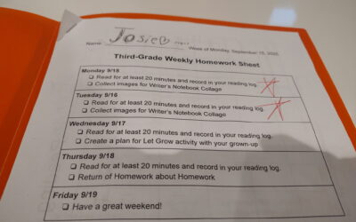 Reinforcement for Third Graders and Adult Learners